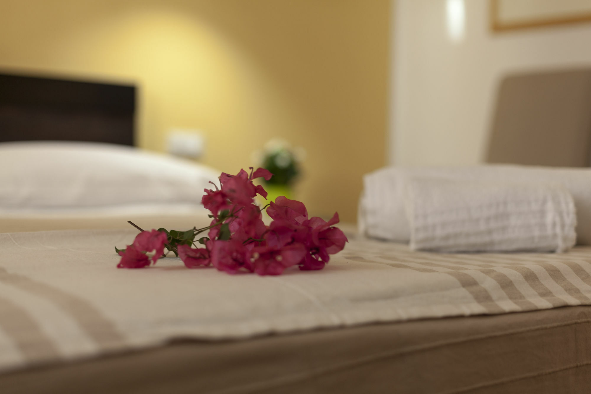 Piazza Marina Bed & Breakfast Palermo Exterior photo